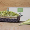 BAULETTO ARTIGIANALE AL PISTACCHIO CON CREMA SPALMABILE - immagine 3